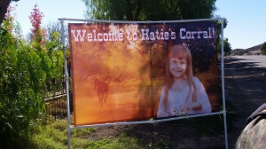 Katie's Banner. Please visit her site Katherine the Brave on facebook.