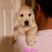 Kelby